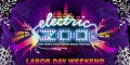 Electric Zoo Festival NYC