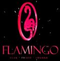Flamingo Zrich