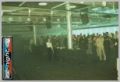 N#:32021 - Dancefloor