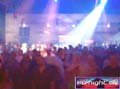 N#:225131 - 