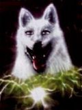 N#:88001 - White Wolf Logo