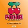 Mixed by Tatana & Scaloni - Pacha 2009 - Ibiza Summer Session