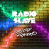 Mixed by Radio Slave - Strictly Rhythms vol. 5