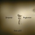 Torquato & Boghosian - First Album