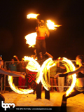 N#:339024 - 