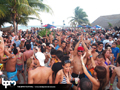 N#:339033 - 