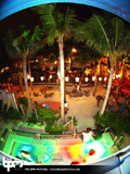 N#:339036 - 
