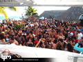 N#:339040 - 