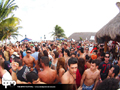 N#:339042 - 