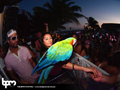 N#:339053 - 