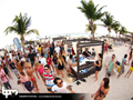 N#:339071 - 