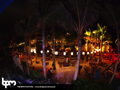 N#:339074 - 