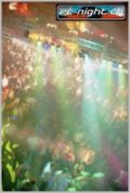 N#:57035 - Main - Trance Floor