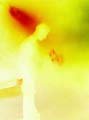N#:255049 - 
