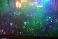 N#:30848 - 