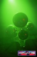 N#:125016 - 