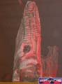 N#:263038 - 