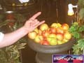 N#:223053 - 