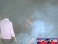 N#:223067 - 