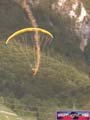 N#:250117 - 