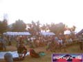 N#:250182 - 