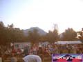 N#:250183 - 