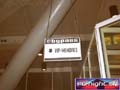 N#:256010 - 