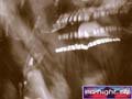 N#:273100 - 