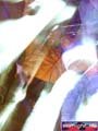 N#:275053 - 