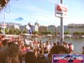 N#:243058 - 