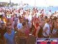 N#:243060 - 