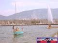 N#:296023 - 