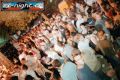 N#:65037 - Stimmung bei THE LAB