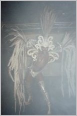 N#:11001 - Cooler Costum