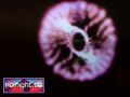 N#:102069 - Video-Animation