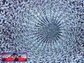 N#:102072 - Video-Animation
