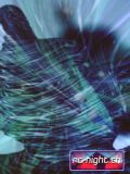 N#:102074 - Video-Animation