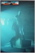 N#:40042 - Dance Animation