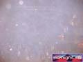 N#:258012 - 