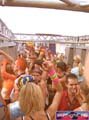 N#:244021 - 