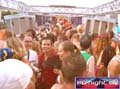 N#:244031 - 