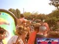 N#:244032 - 
