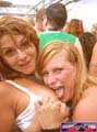 N#:244037 - 