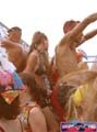 N#:244046 - 