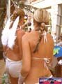 N#:244082 - 