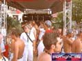 N#:244085 - 