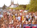 N#:244110 - 
