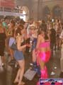 N#:244116 - 