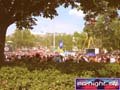 N#:244133 - 