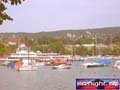 N#:244149 - 